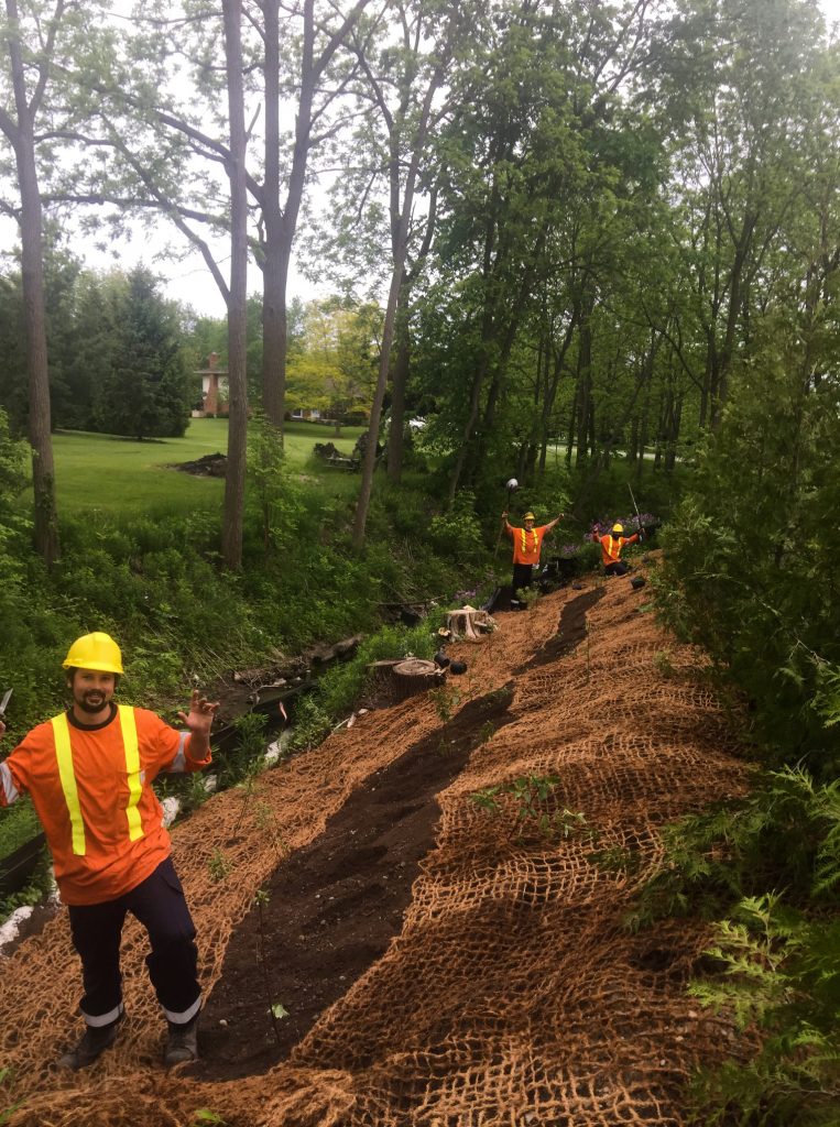 Ecological Restoration Gallery Green Side Up